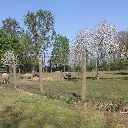 Beej Potters Bed and Breakfast Weert Εξωτερικό φωτογραφία