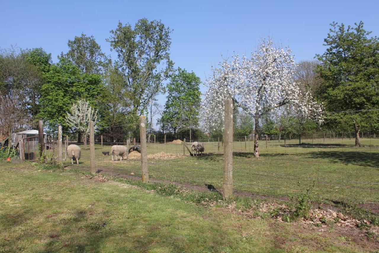 Beej Potters Bed and Breakfast Weert Εξωτερικό φωτογραφία